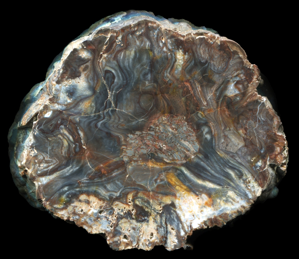 Juniper Bed Mudball with Beautiful Flowbanding