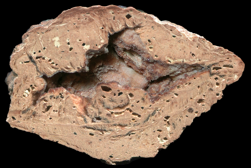 Virgin Valley Thunderegg Geode