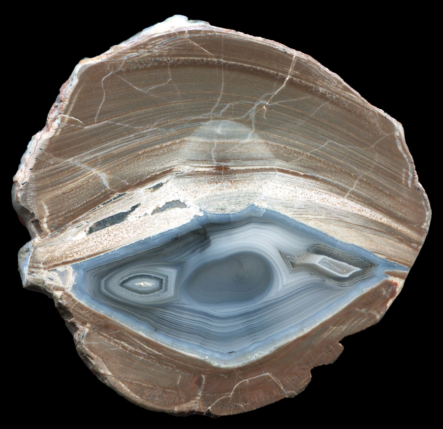 Wormhole Thunderegg with Sloth Face