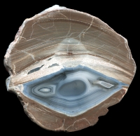 Wormhole Thunderegg with Sloth Face