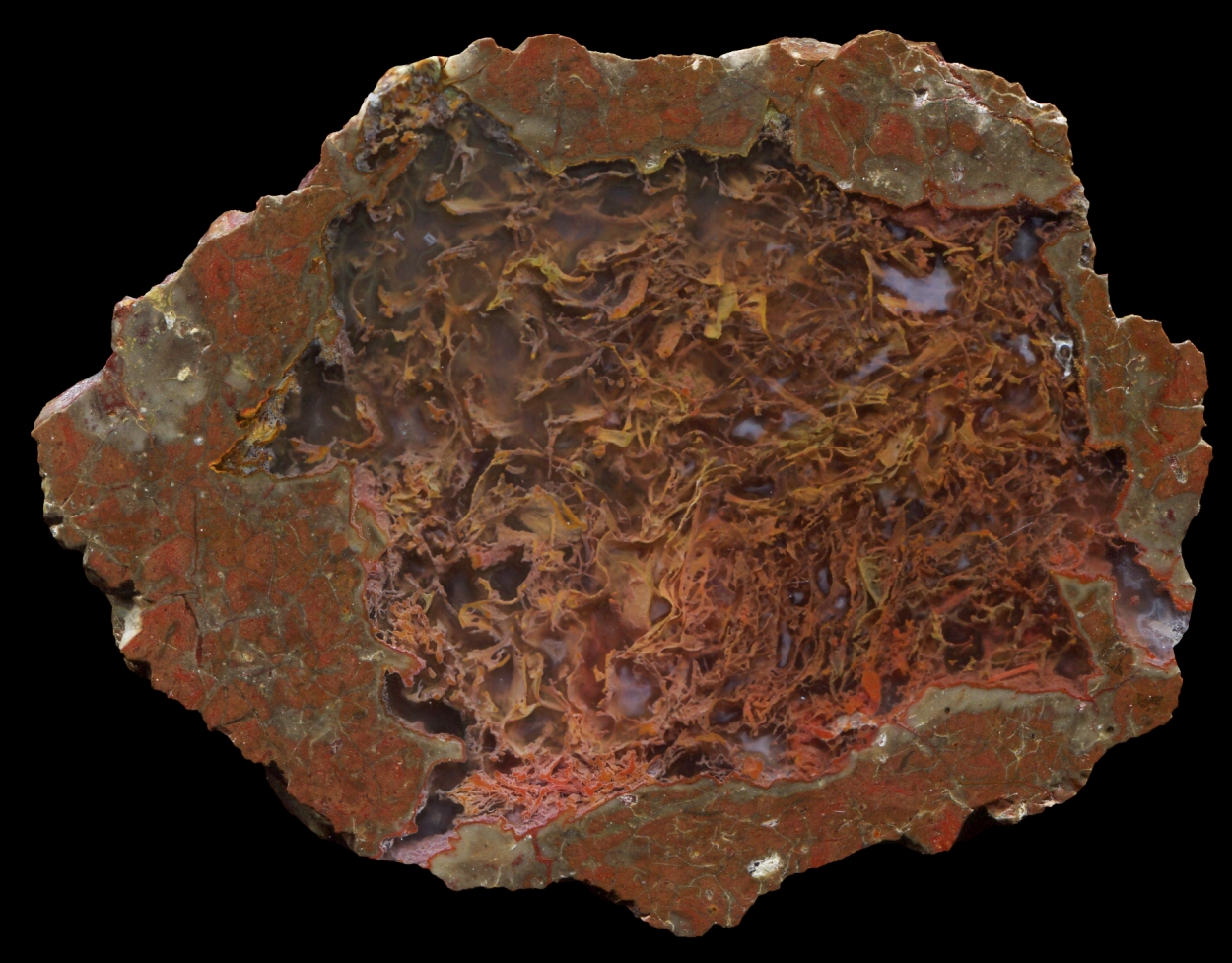 Green Eggs and Ham Thunderegg with Dense Moss