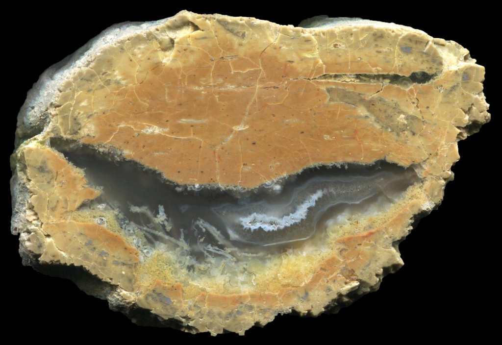 Cougar Trap Thunderegg with Clear Banded Agate