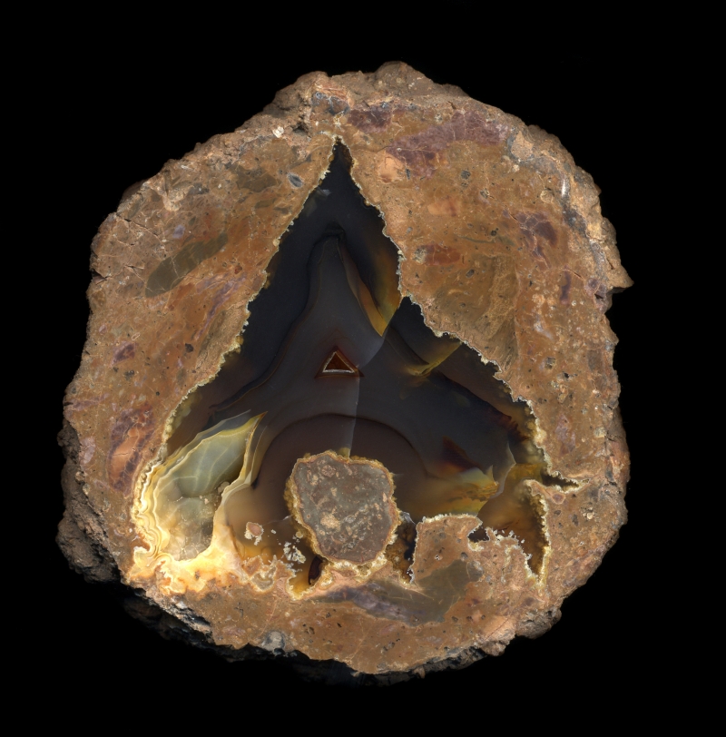 Round and Well-Shaped Friend Ranch Thunderegg