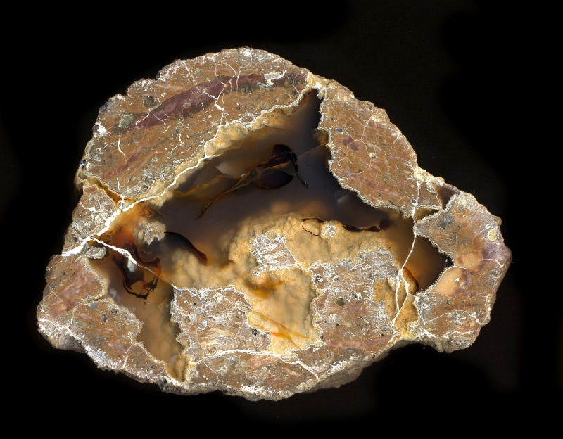 Friend Ranch Thunderegg
