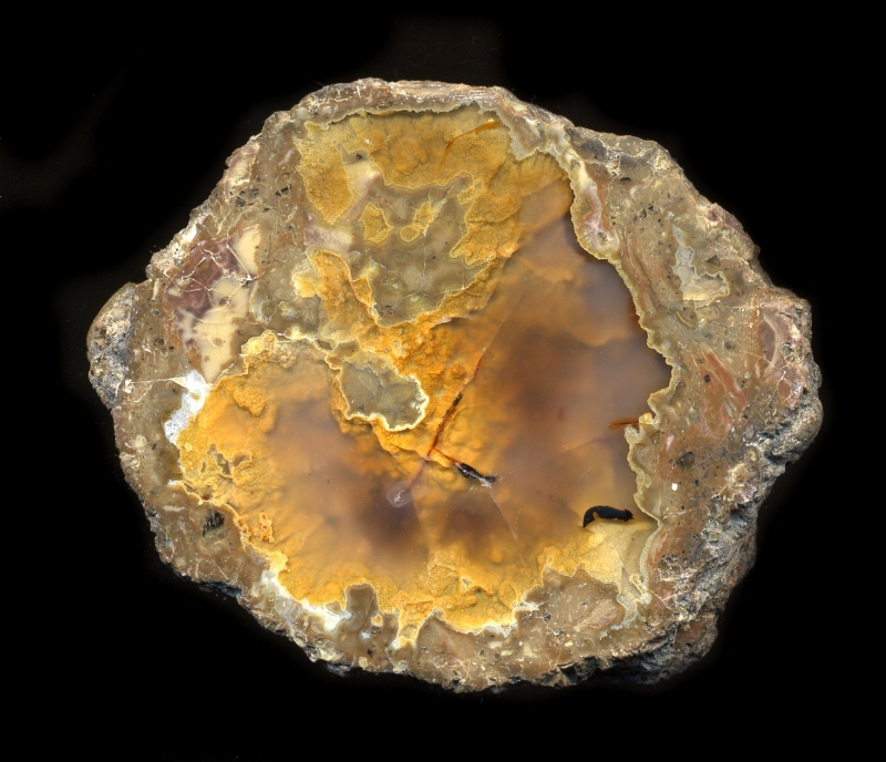 Friend Ranch Thunderegg