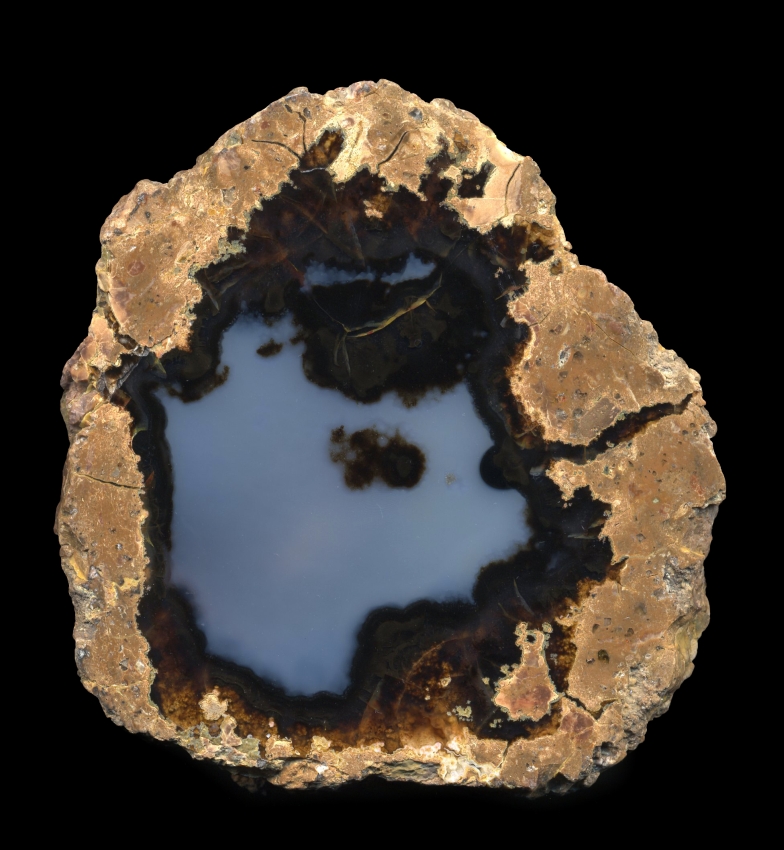 Round and Well-Shaped Friend Ranch Thunderegg