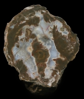 Typical Small Gray Butte Thunderegg