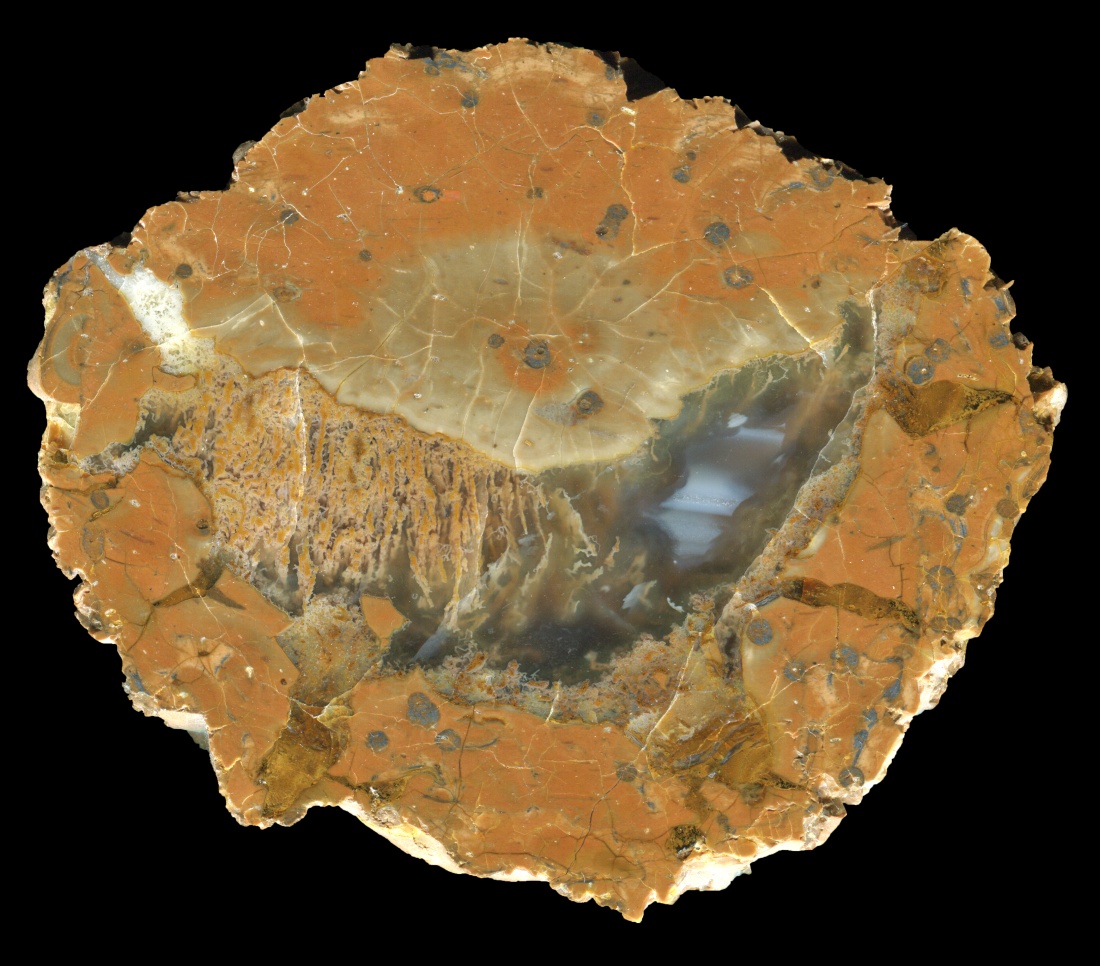 Ochs Ranch / Pony Creek Thunderegg with Trailing Moss