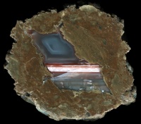 Pink Abby Thunderegg