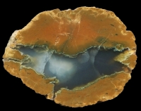 Red Walnut Thunderegg with Shadowing