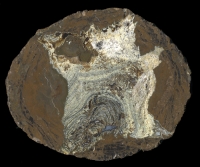 Richardson Bed 2 Thunderegg