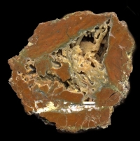 Richardson Thunderegg