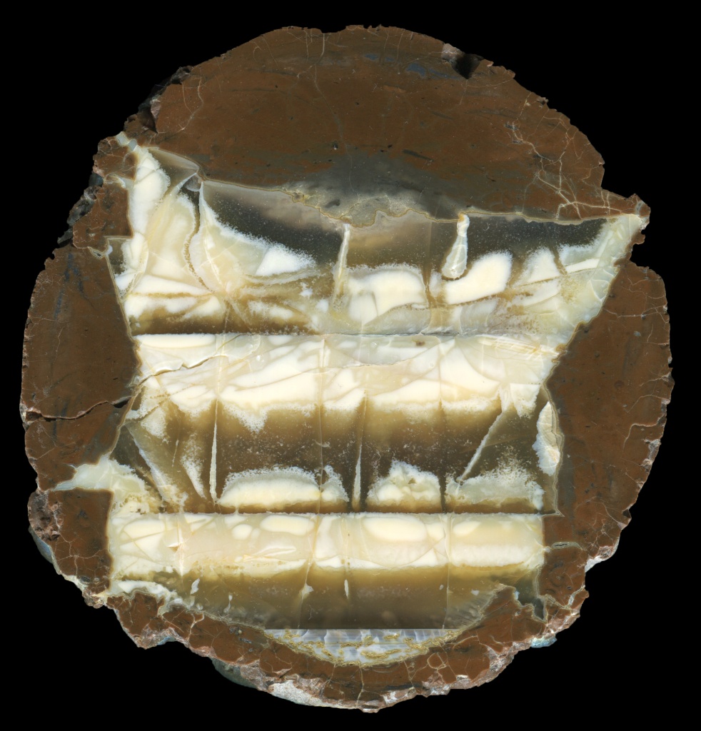 Unusual Richardson Ranch thunderegg with Complex Opal and Agate Structure