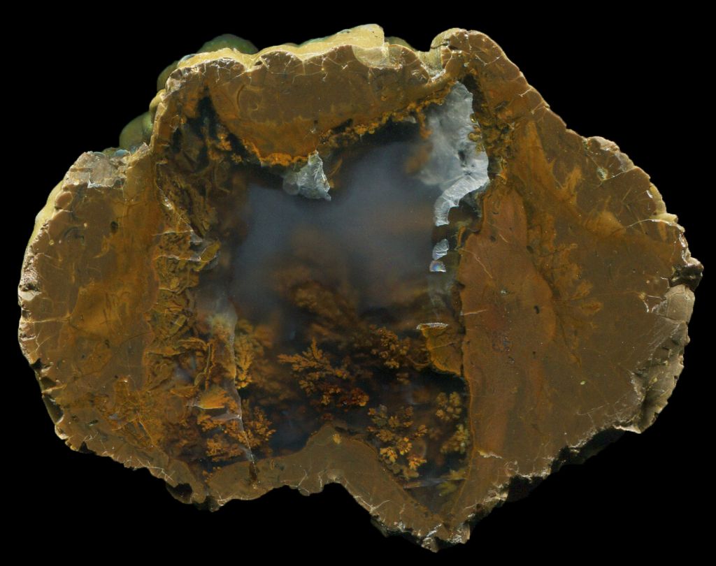 Wild Iris Thunderegg with Stunning Plume