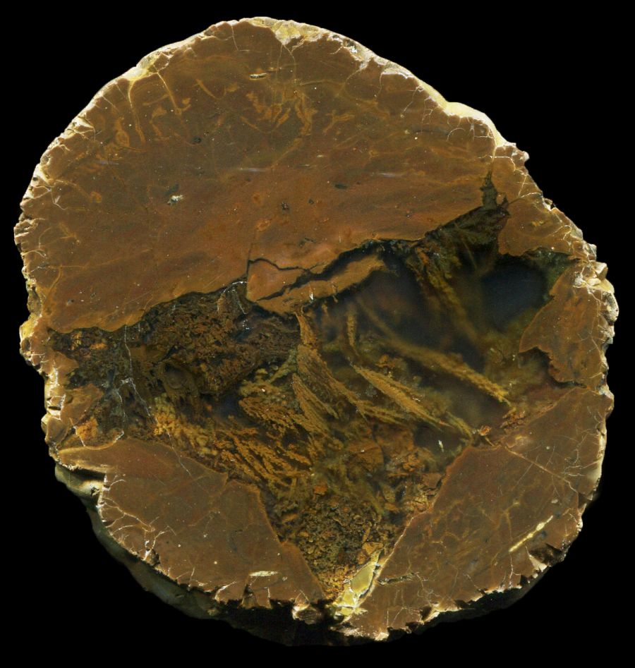 Yellow Jacket Thunderegg