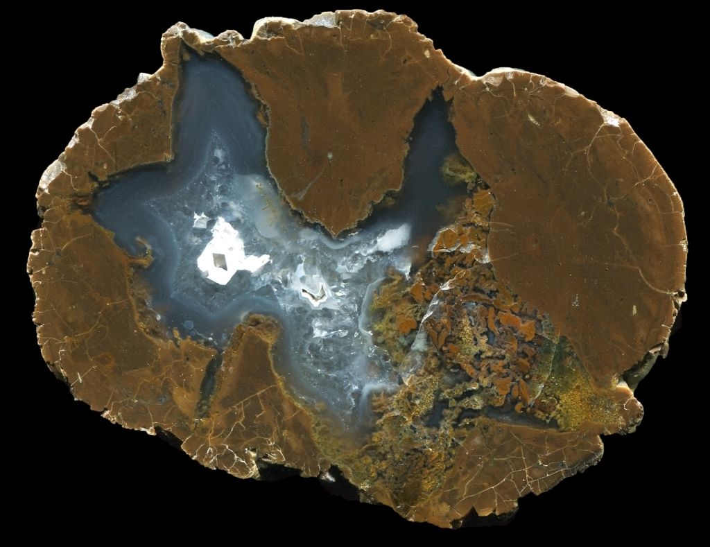 Simple Double Wild Iris Thunderegg