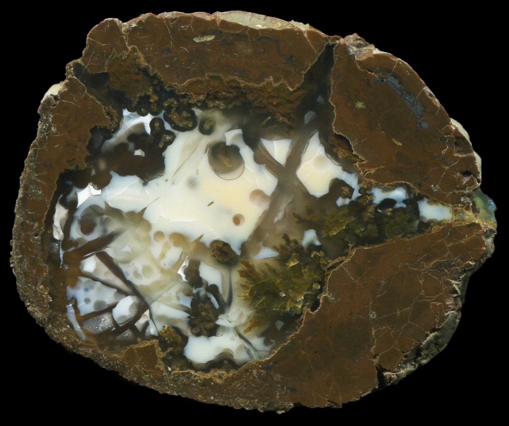Wild Iris Thunderegg with Bizarre Opal and Plume
