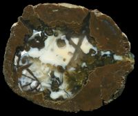Wild Iris Thunderegg
