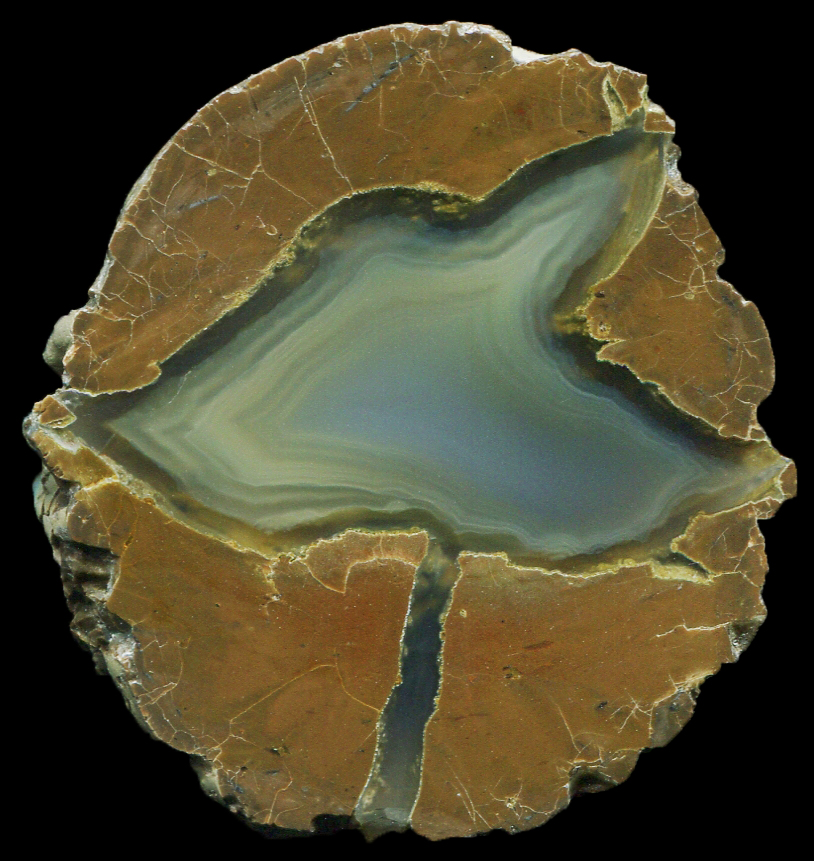 Beautiful Wild Iris Thunderegg with Pastel Yellow