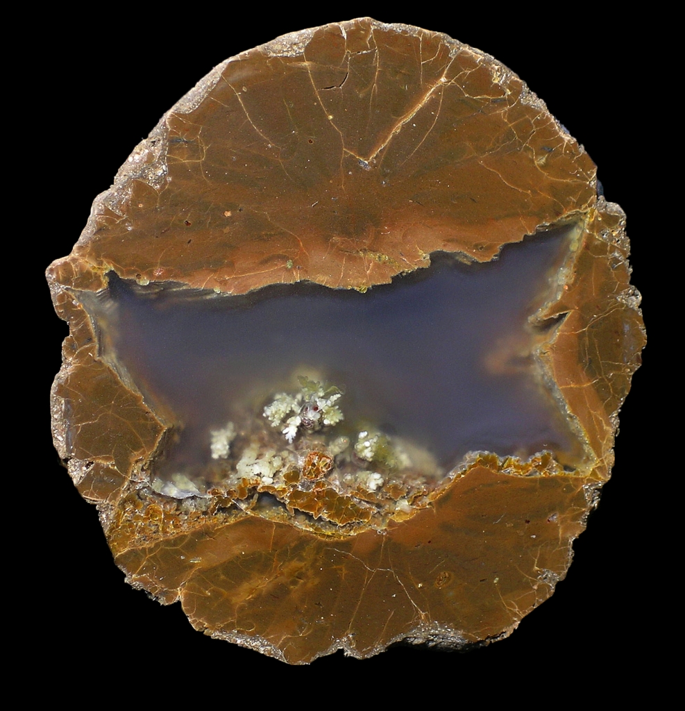 Simple Wild Iris Thunderegg with Plume