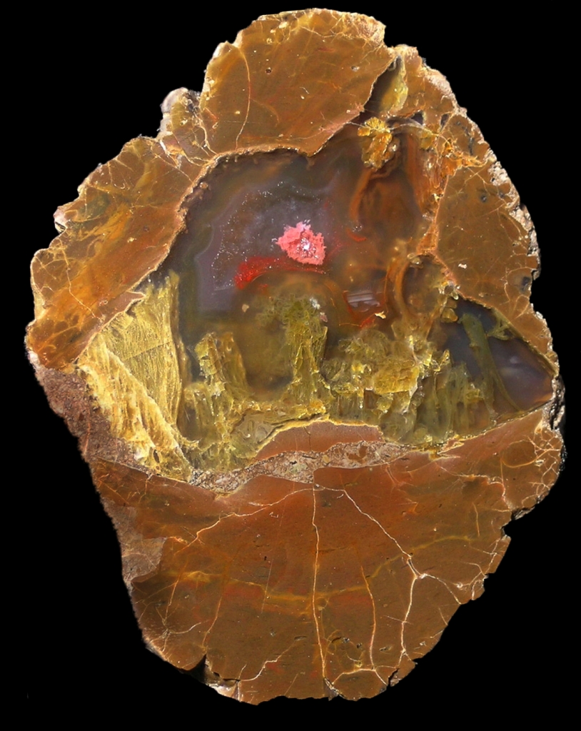 Complex Wild Iris Thunderegg With Pink Centre