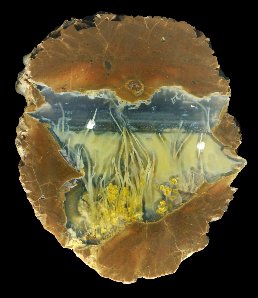 Wild Iris Thunderegg with Flower Garden ... or Rock Pool!