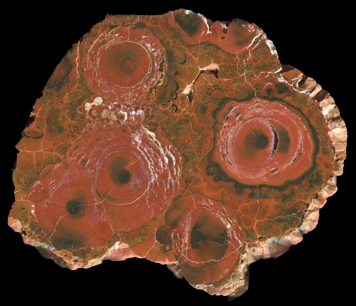 Beautiful Red Hooker Creek Thunderegg Conglomerate