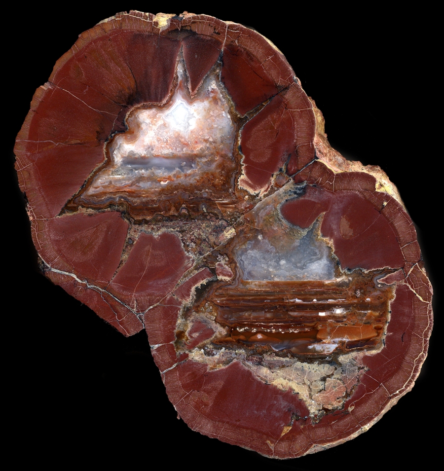 Exquisite Double Scull Springs Thunderegg - Leveling Lines