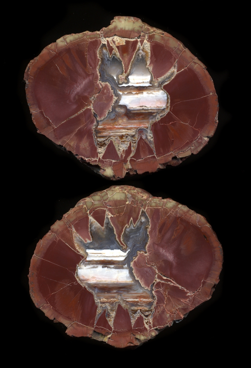 Skull Springs Thunderegg