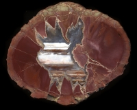 Skull Springs Thunderegg
