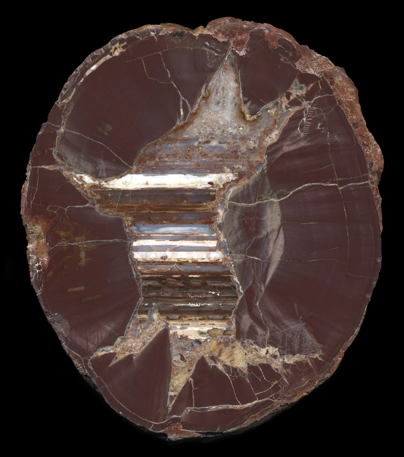 Exquisite Double Scull Springs Thunderegg - Leveling Lines