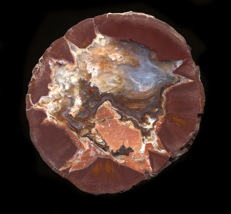 Skull Springs Thunderegg