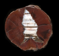 Skull Springs Thunderegg