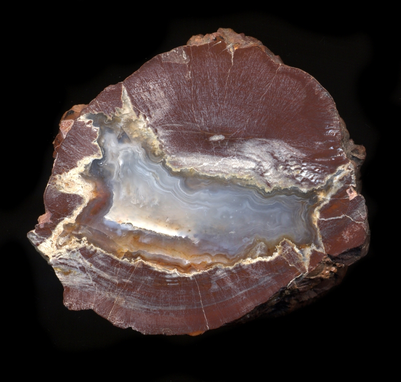 Skull Springs Thunderegg