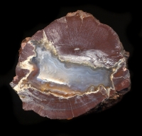 Skull Springs Thunderegg