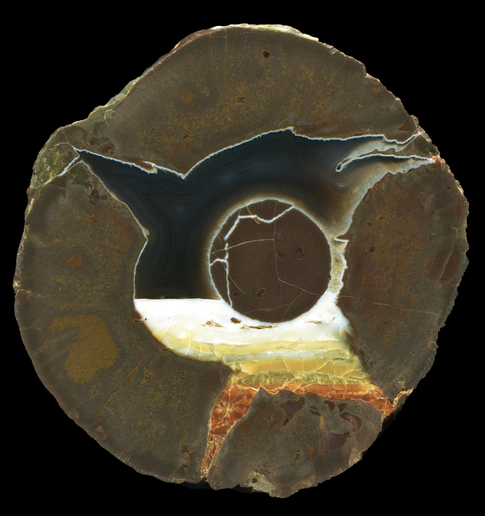 Mutton Mountain Thunderegg with Opal and Button