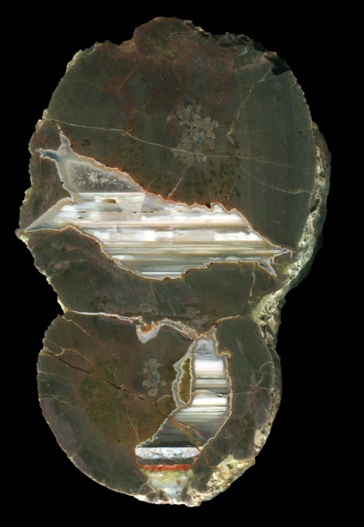 Double Warm Springs Thunderegg with Waterlines