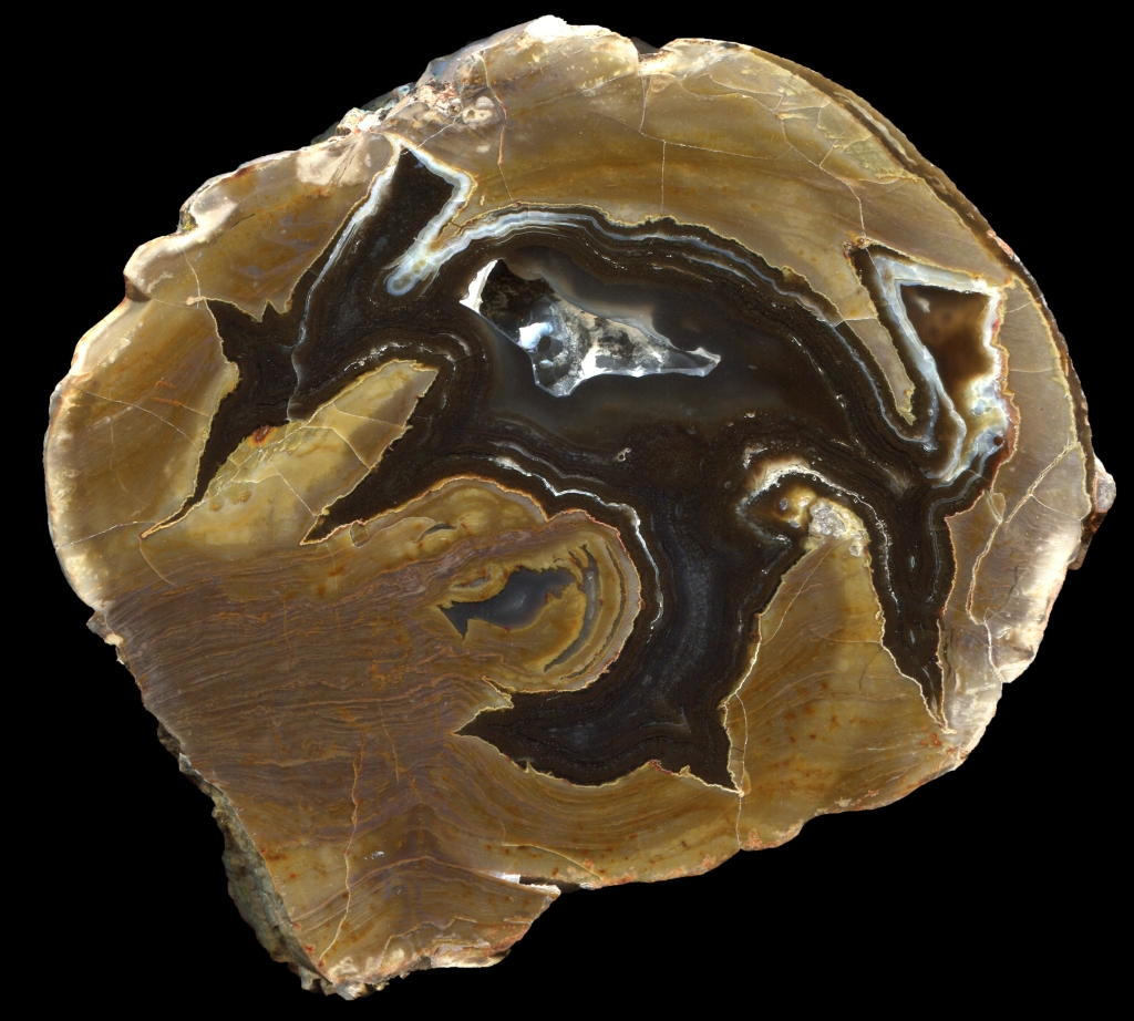 Grand Warm Springs Thunderegg with Complex Shape