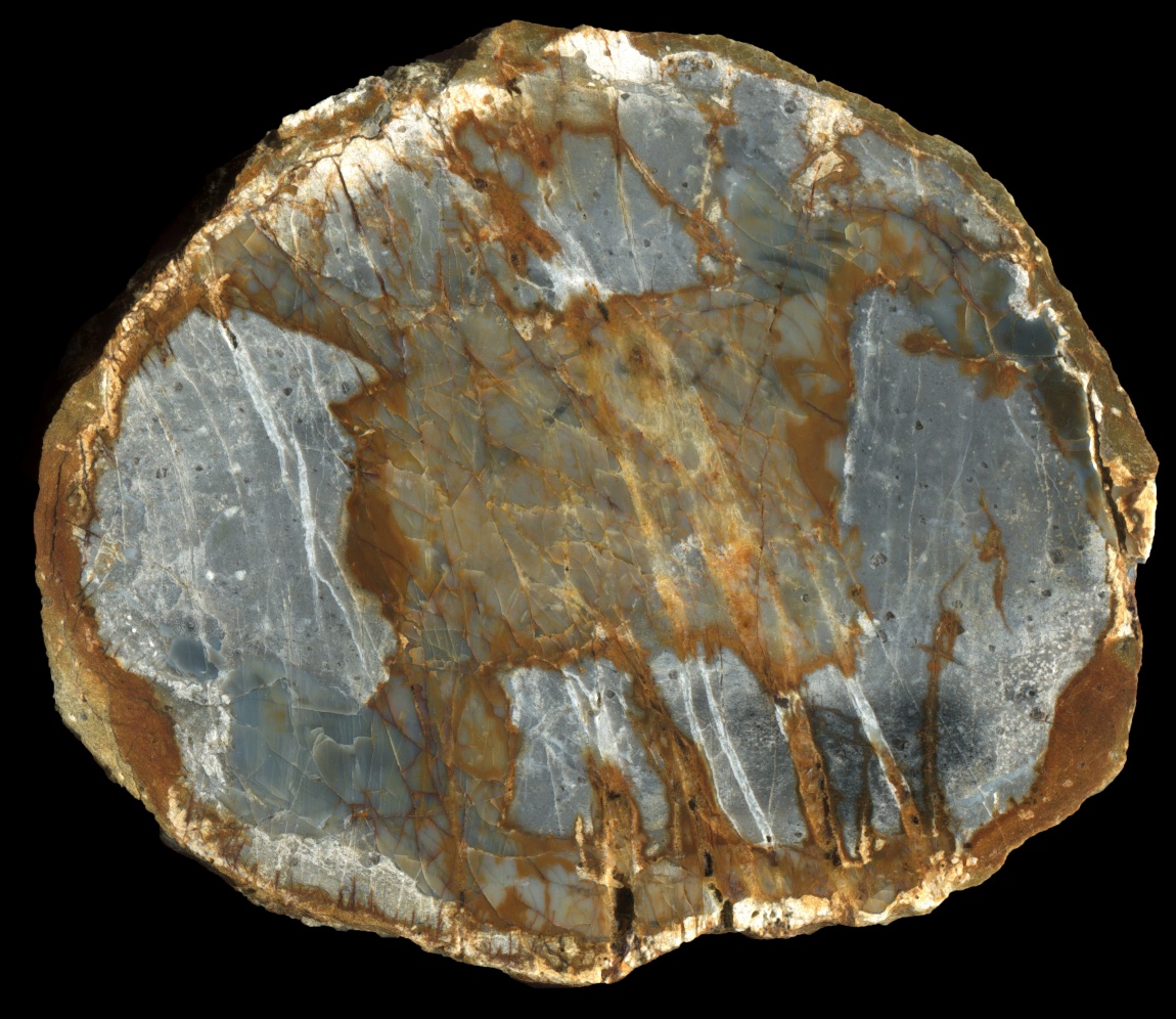 Mt. Higgins Thunderegg with Crazed Common Opal