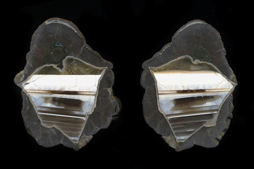 White River Thunderegg With White Opal Tilt Formations