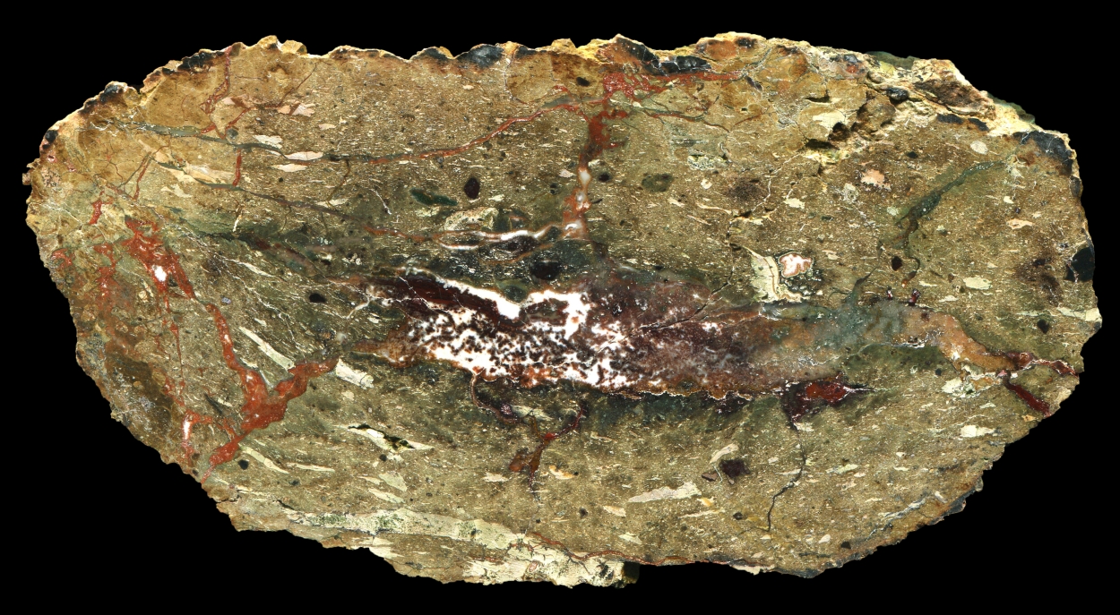 First Creek Thunderegg with Marbled Core