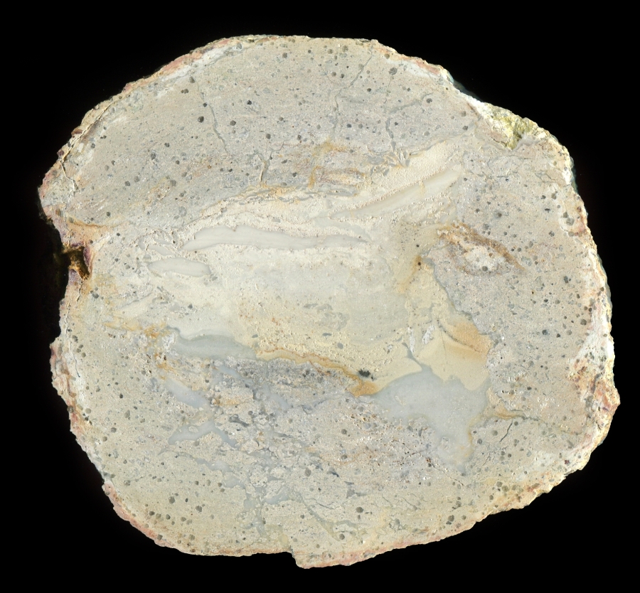 Rimrock Thunderegg with Confused Core