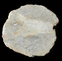 Rimrock Thunderegg