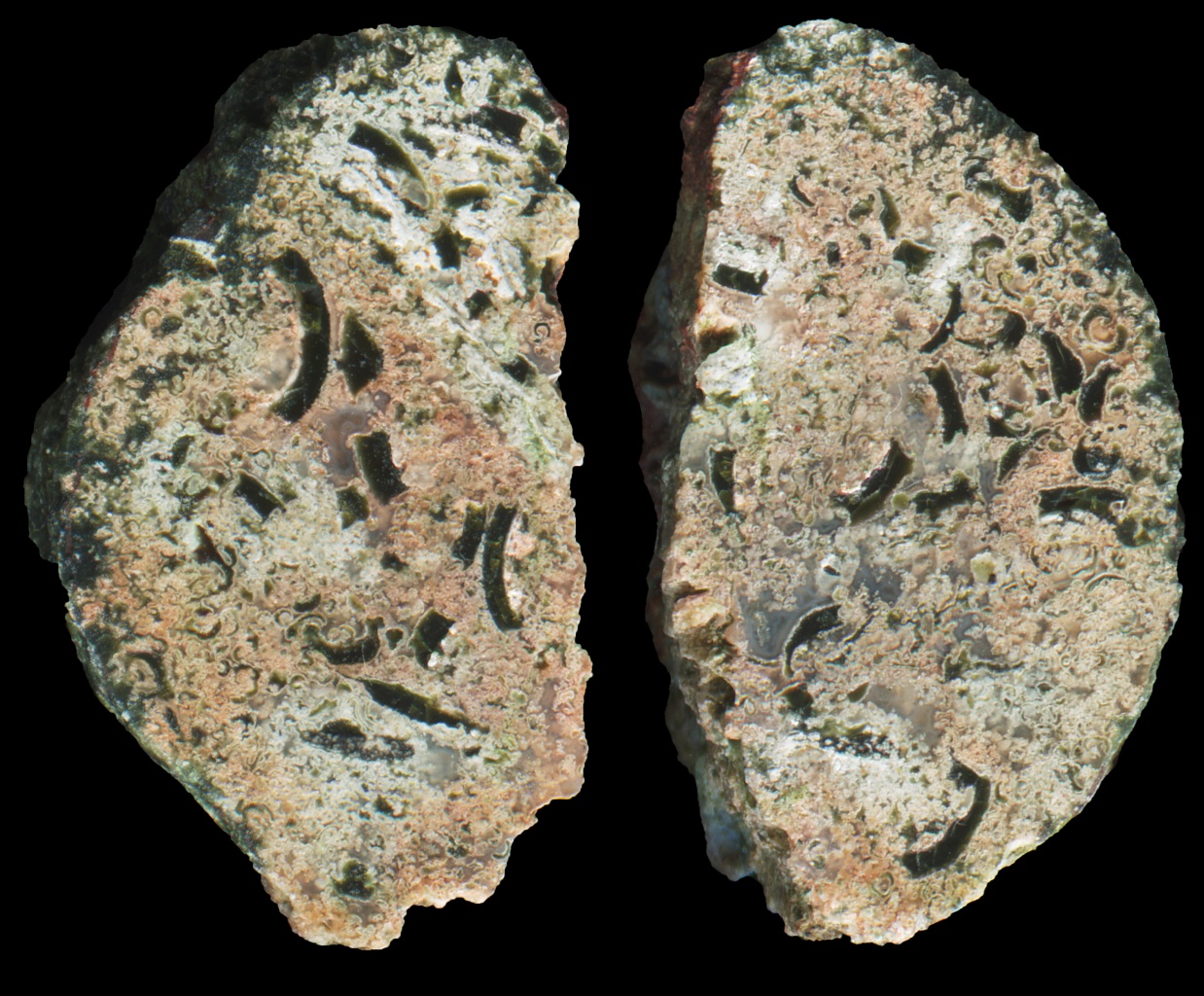 Heavily Mineralised Scurdie Ness Agate