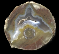 Dutch Donny Thunderegg