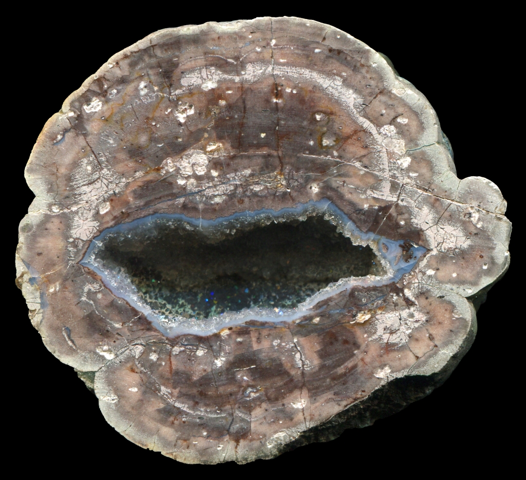 Lovely Dry Creek Thunderegg Geode