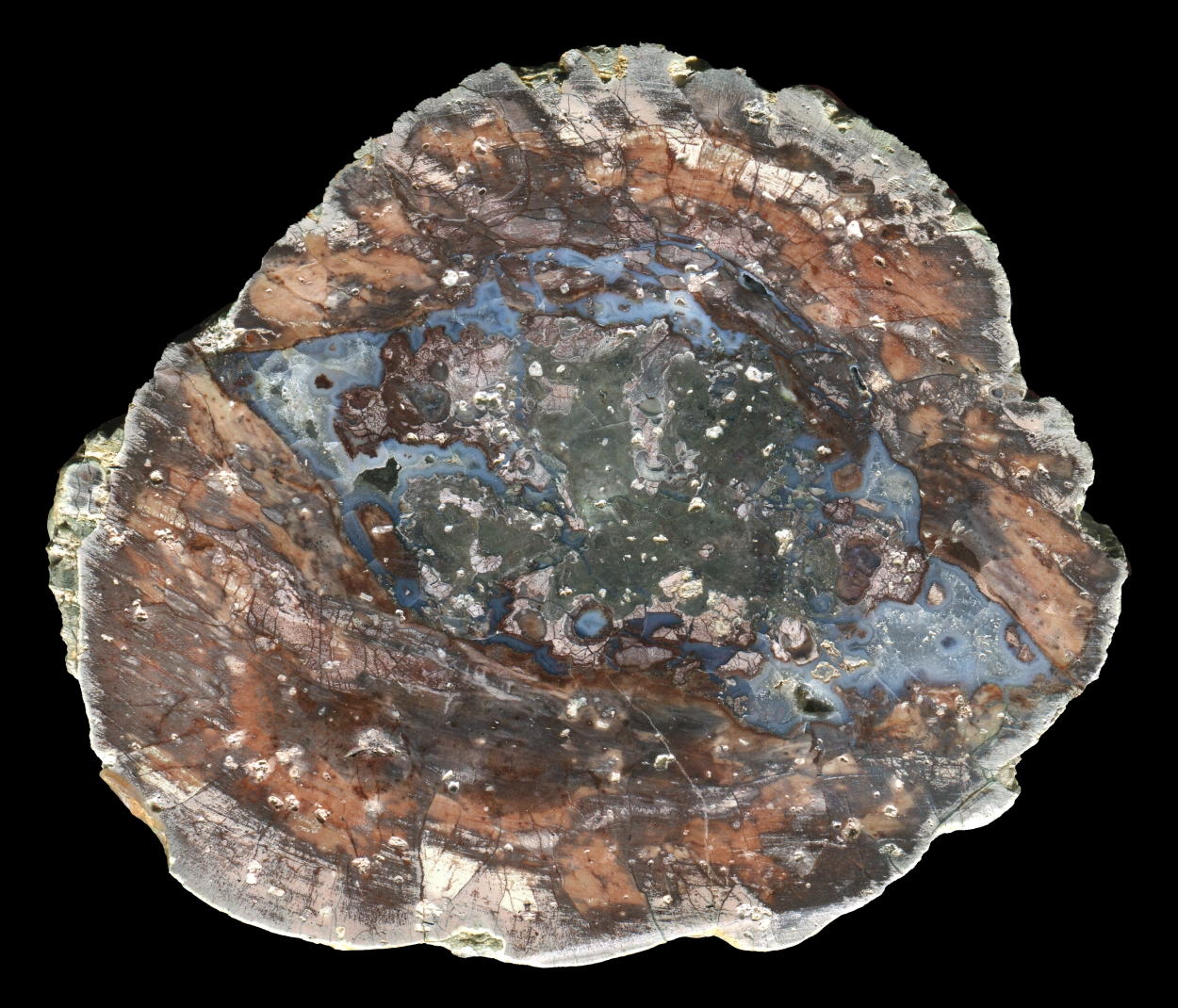 Dry Creek Thunderegg with Complex Core
