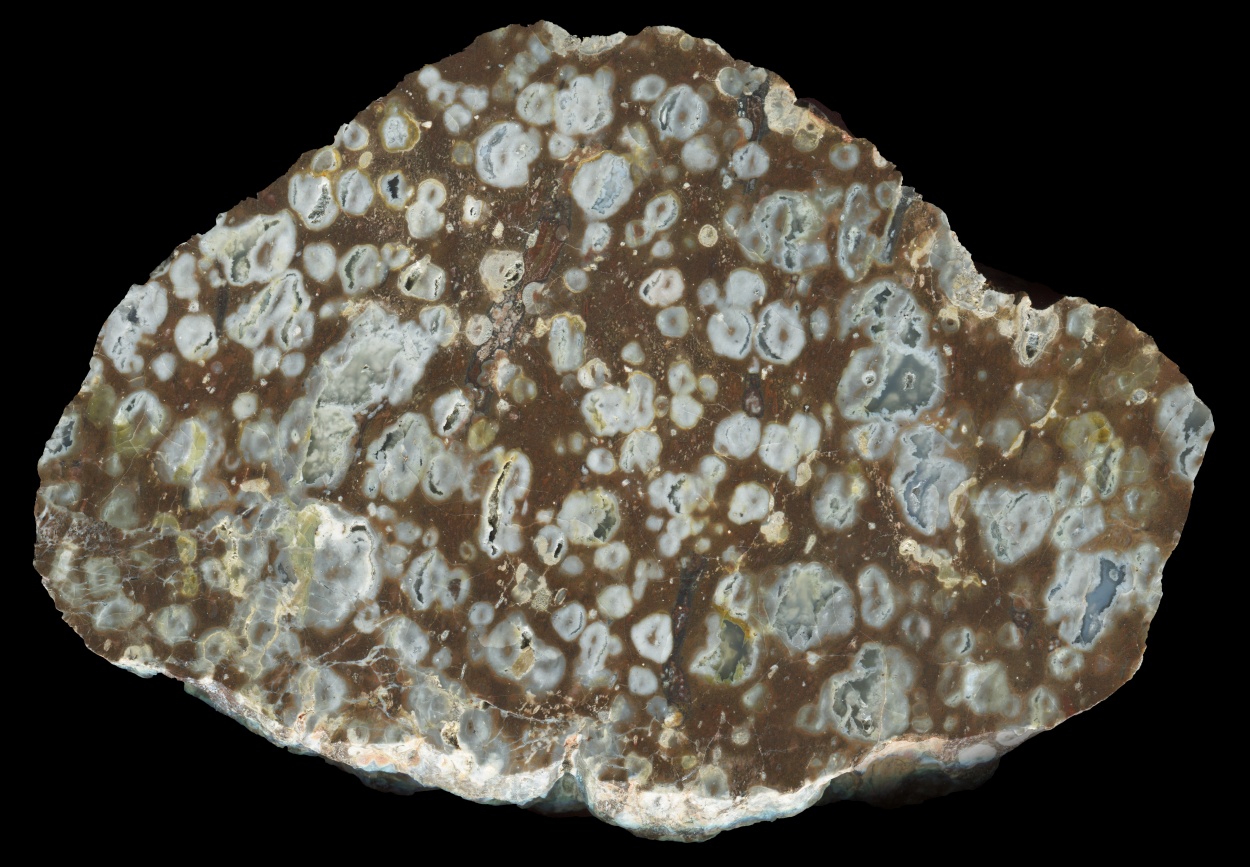 Conglomerate Specimen in Brown and Grey