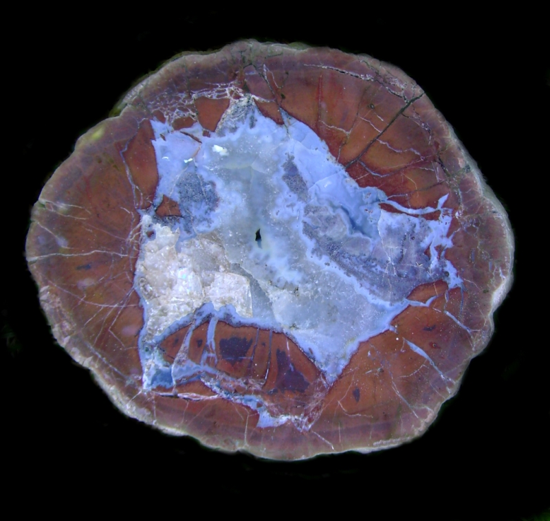 crane Creek Thunderegg