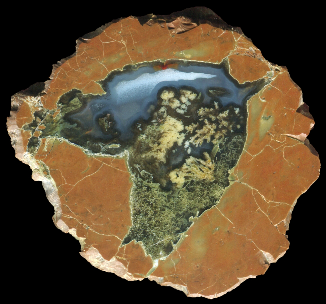 Priday Plume Bed Thunderegg with Plume and Moss